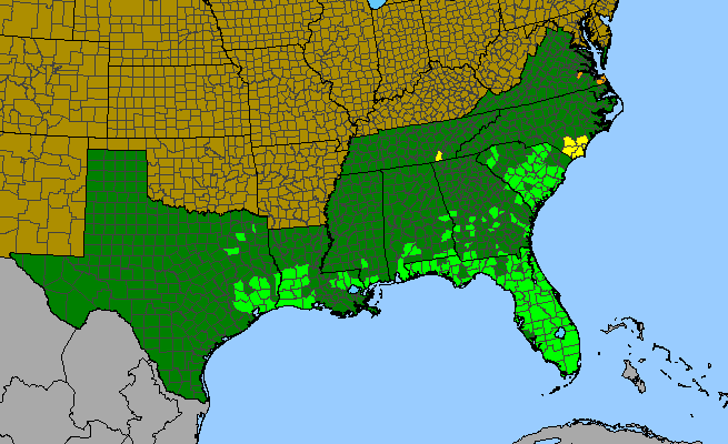 The range of Bacopa caroliniana